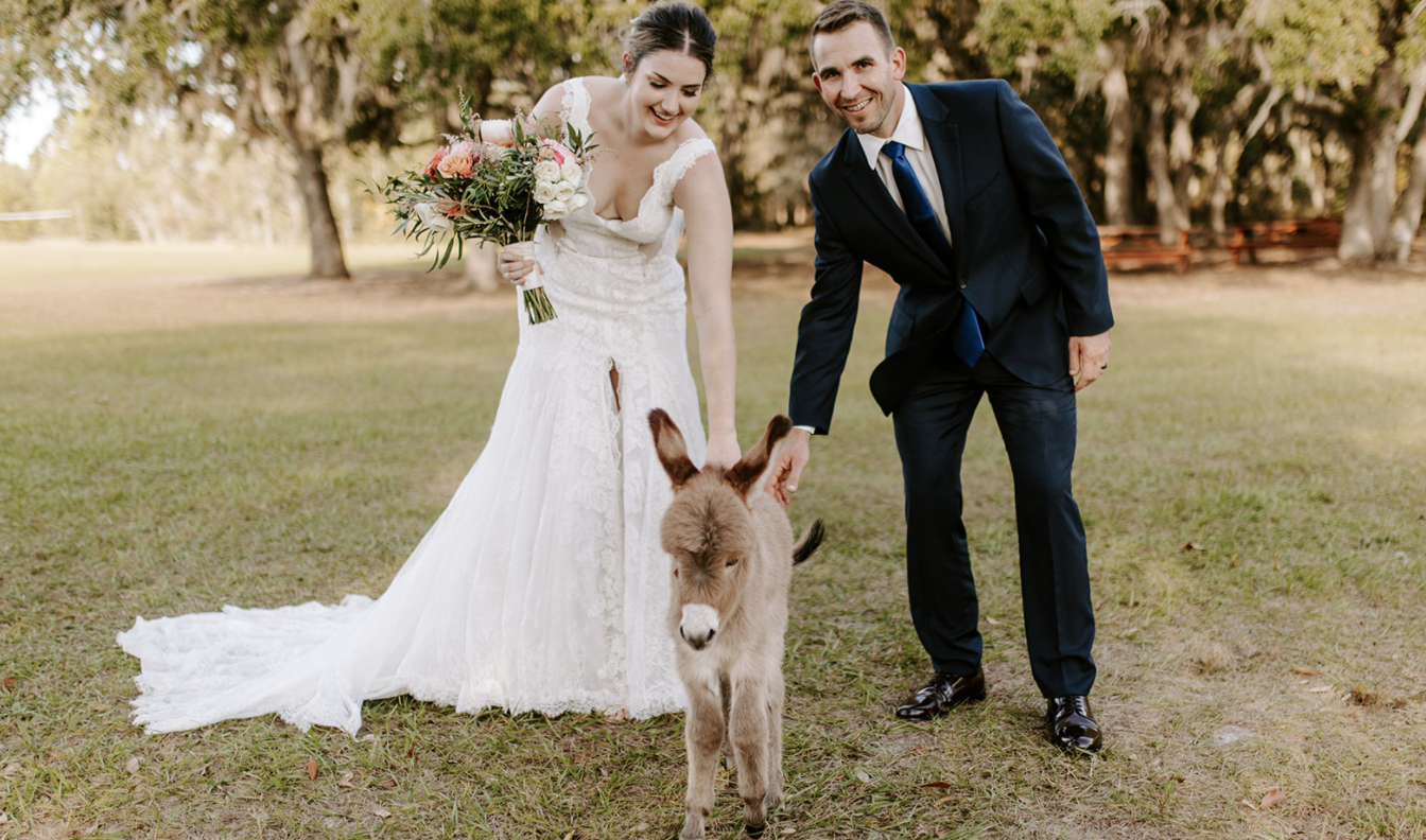 Top Reasons to Plan a Rustic Barn Wedding at Legacy